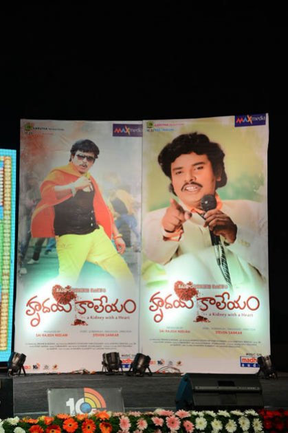 Hrudaya-Kaleyam-Audio-Launch